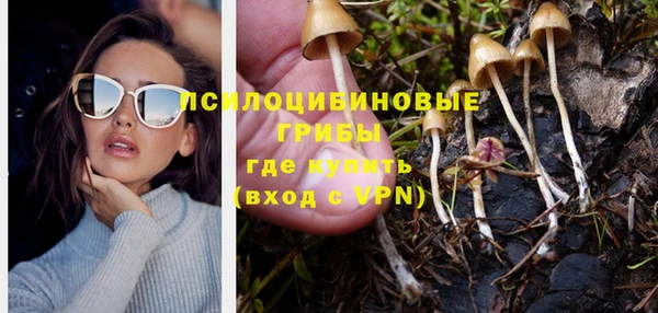 кокс Алексеевка