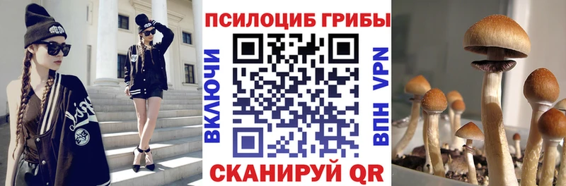 Псилоцибиновые грибы Cubensis MEGA как войти Элиста